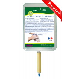 PACK PROMO Savon d&eacute;sinfectant COVID 19 avec distributeur